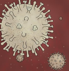 Schweinegrippe-Viren H1N1, Schweinegrippe-Virus N1H1