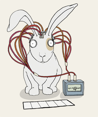 &nbsp;, Hinrstromelektroschock