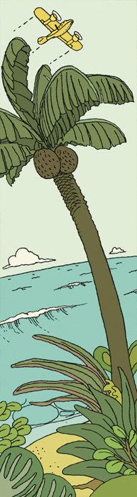 Reisebücher, Flugzeug, Reisen, Insel, Palme.