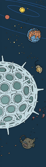 Wissen, All, Radiolarien, All, Meer, Tiefsee.