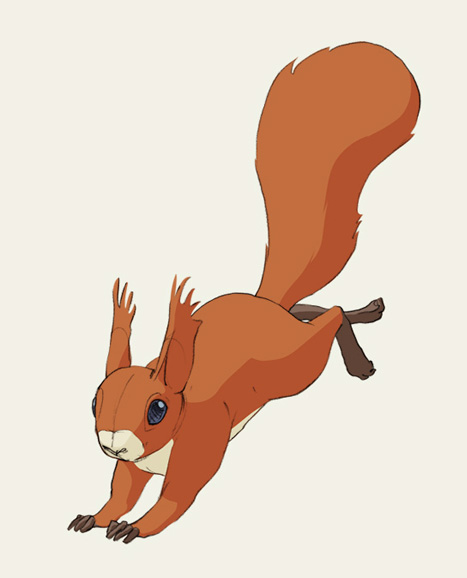 &nbsp;, Eichhörnchen