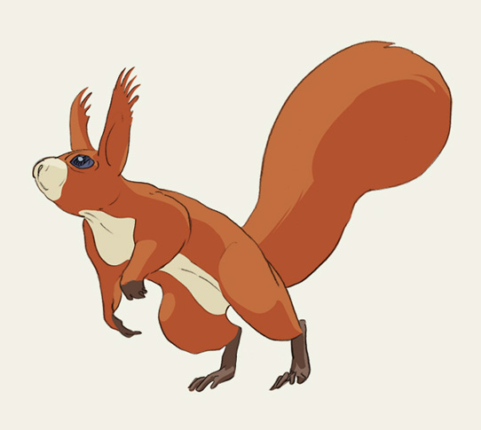 &nbsp;, Eichhörnchen