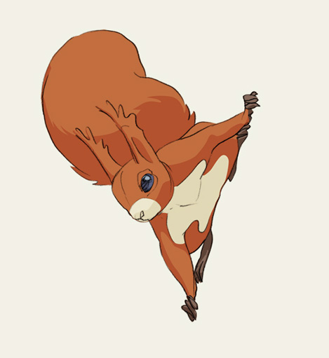 &nbsp;, Eichhörnchen