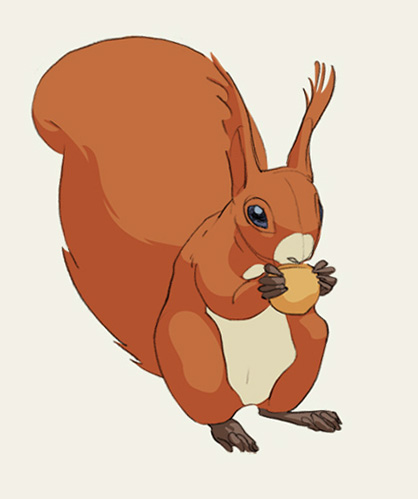 &nbsp;, Eichhörnchen