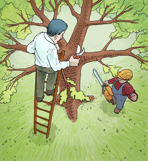 Konservativer Irrtum, Mann auf einem Baum.