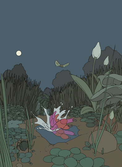 Auf, zum Mond! Seite 9, Nubbur versucht im Garten im Mondschein den Mond in einer Pfütze zu fangen.