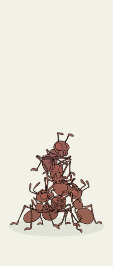 Auf, zum Mond! Seite 15, Die Ameisen bauen einen Turm.