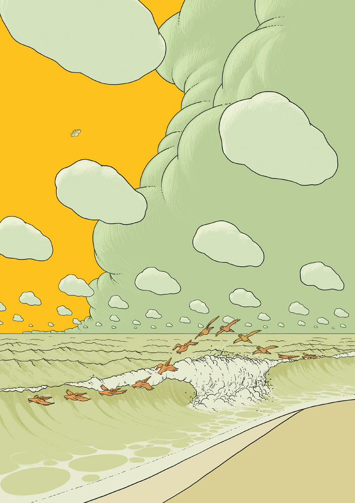 &nbsp;, Pelikane am Meeresstrand