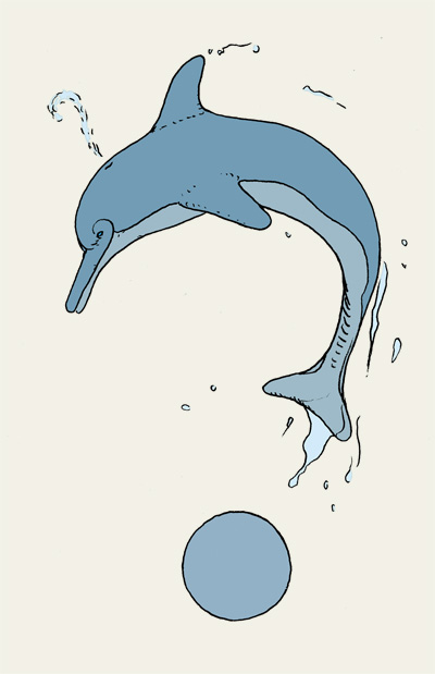 Delphin, Delphin, Tümmler