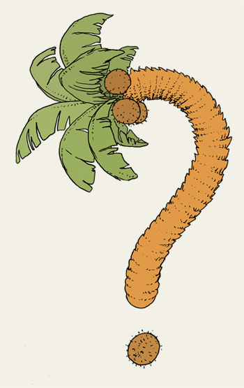 Palme, Palme in der Form eines Fragezeichens.