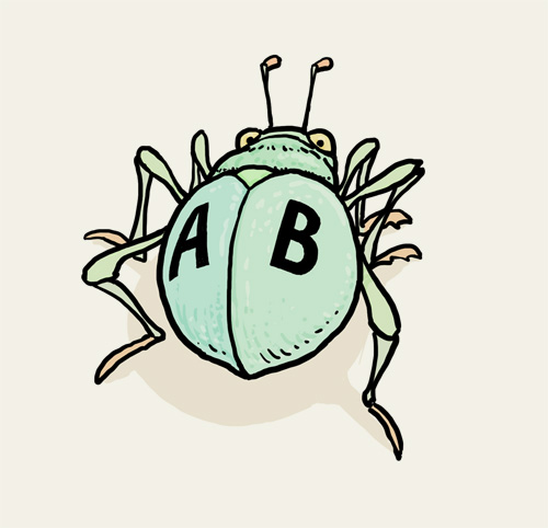 Käfer II, Käfer, Insekt.