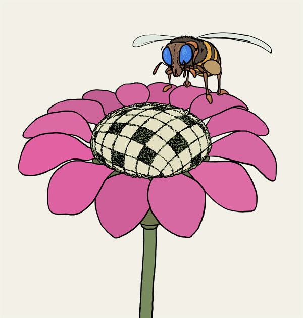 Biene, Bine auf einer Rätselblume.