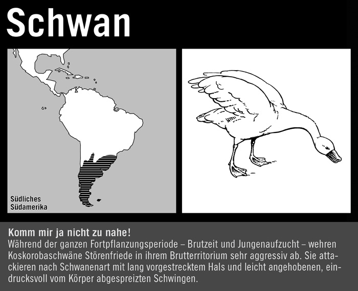 Koskorobaschwan, Koskorobaschwan